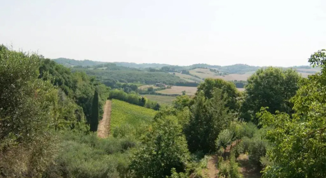 Вилла Stunning Country House overlooking Tuscany hills
