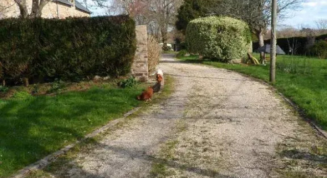 Farmhouse in an amazing private park, Забронировать Отель Ван Gulf of Morbihan, рядом с Museum Of Fine Arts, Vannes La Cohue