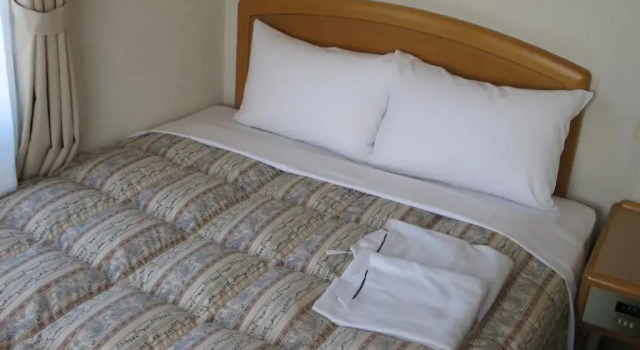 Номер Deluxe Mito Riverside Hotel