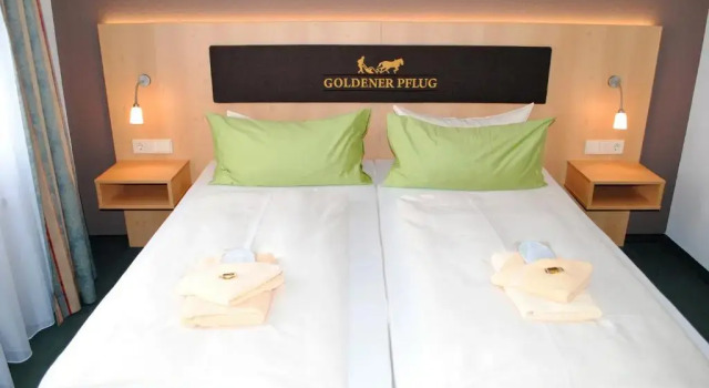 Двухместный номер Standard Landgasthof Goldener Pflug