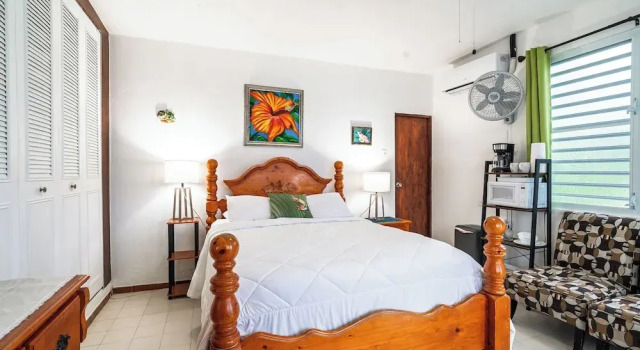 Двухместная студия с красивым видом из окна Coconut Palms Rincon