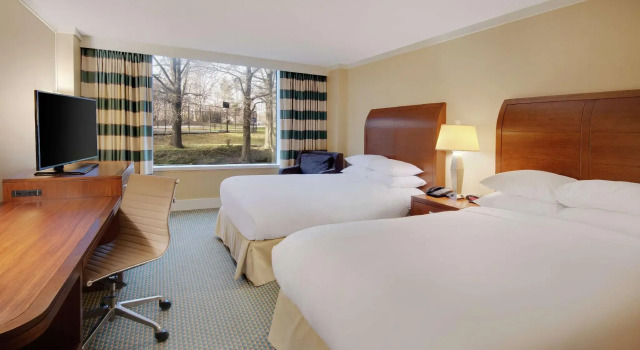 Четырёхместный номер Premium DoubleTree by Hilton Stamford