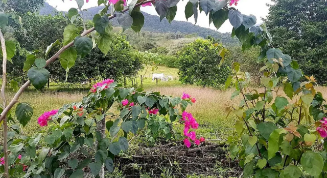 Tio Felix Eco Lodge