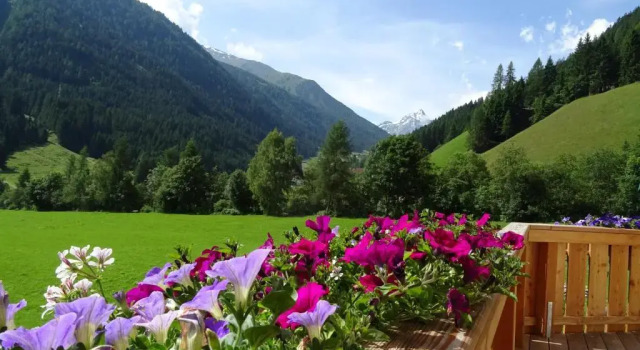 Четырёхместный номер Standard Gästehaus Landhaus Tyrol