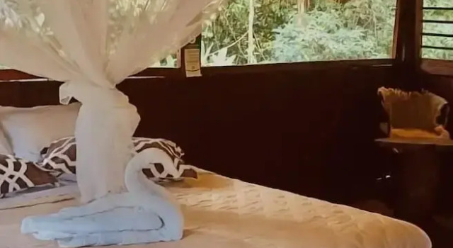 Номер Standard Cuyabeno River Lodge