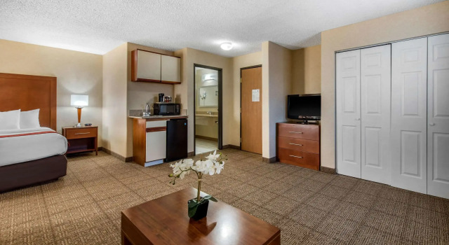 Comfort Inn Denver Southeast Area