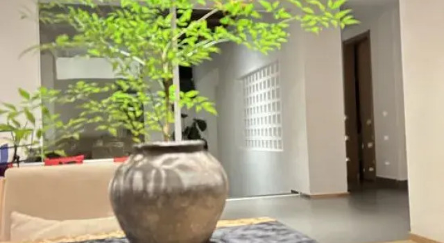 Wuyishan Qingshanjian Holiday Villa, Book Villa Cottages in Nanping, Cottage