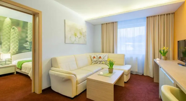 Апартаменты Hotel Slovan