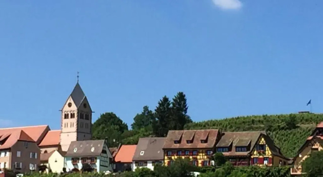 Апартаменты Gîte FLEUR DE VIGNES