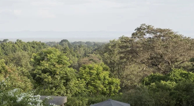 Семейный номер Standard с красивым видом из окна Arusha Villa Karamu Coffee Estate