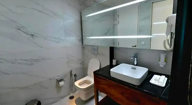 Двухместный номер Standard с видом на горы Kasauli Hills Resort
