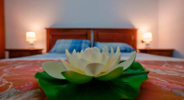 Номер Standard Antico Frantoio Cairoli B&B Exclusive Room