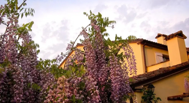 Casa del Tesoro Bed & Breakfast, Rezervovat Hotel Tavullia 