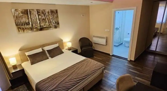 Номер Standard Olympic Apartments& Spa