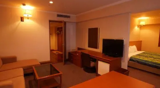 Люкс Superior Station Hotel AU