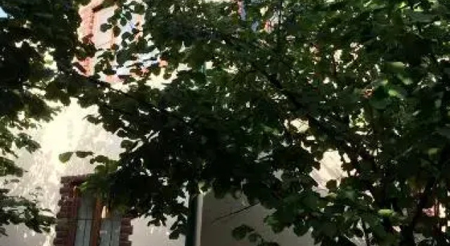 Vendam Villa
