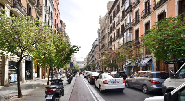 Calle Mayor Apartments
