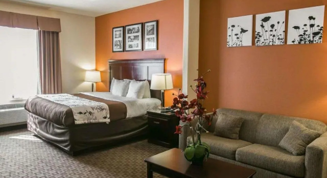 Люкс Цокольный этаж Sleep Inn & Suites Hwy 290-NW Freeway