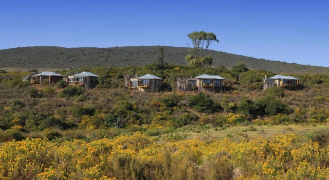 Семейный люкс Garden Route Game Lodge