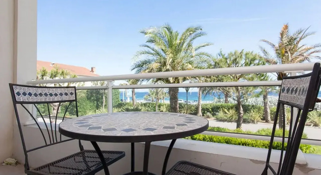 Royal Palm 127