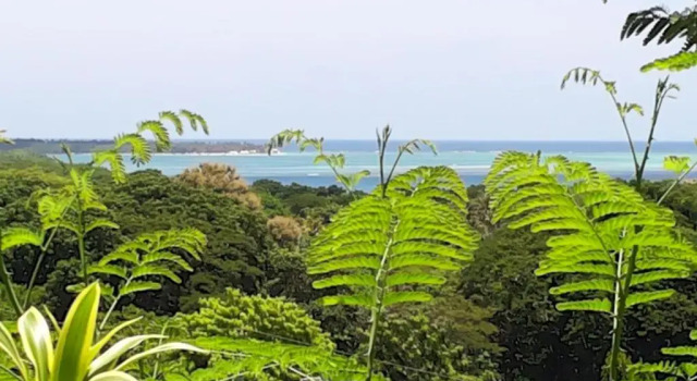 Студия The Nest Tobago Apartments