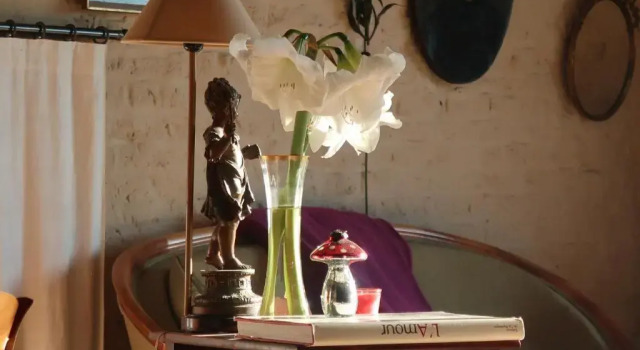 Люкс La Passiflore B&B