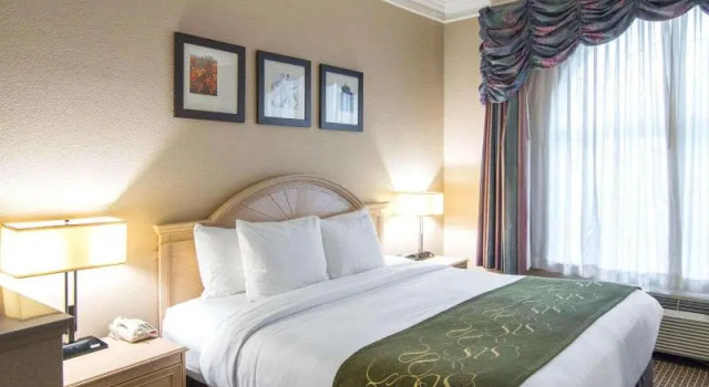 Номер Standard Comfort Suites Kingwood, Humble, New Caney, Houston IAH Airport