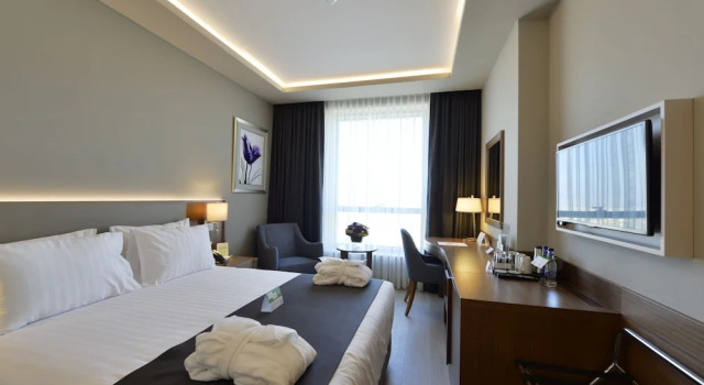Двухместный номер Standard с видом на город Holiday Inn Bursa - City Centre by IHG
