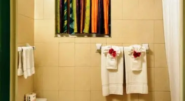 Одноместный номер Standard с красивым видом из окна Doctors Cave Beach Hotel