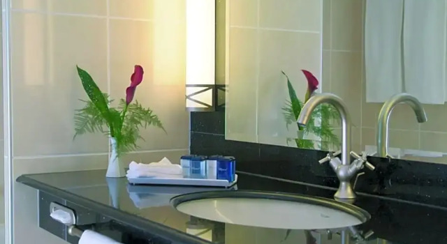 Номер Standard Maritim Hotel Dresden