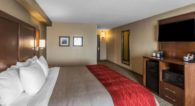 Номер Standard Comfort Inn & Suites Knoxville West