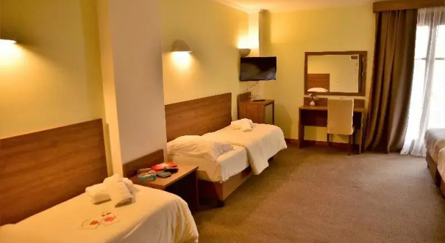 Семейный номер Standard с балконом Mont Helmos Hotel