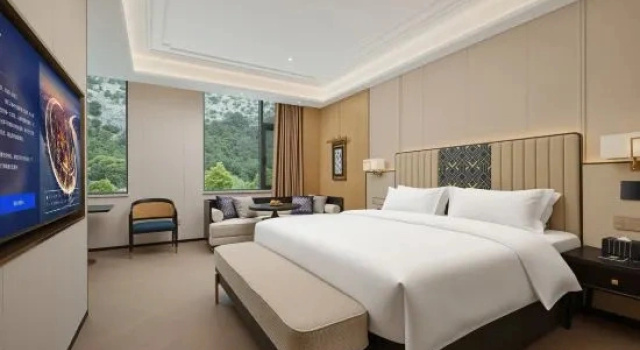 Люкс Deluxe Metropolo Jinjiang Hotels
