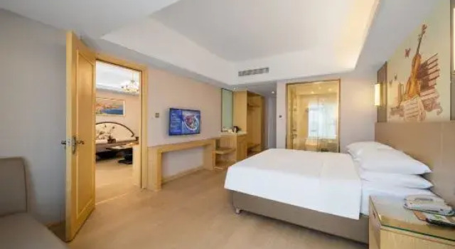 Люкс Deluxe Vienna International Hotel (Changsha Orange Isle Head)