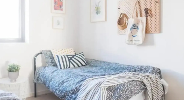 Willis Wolli Crk 24
