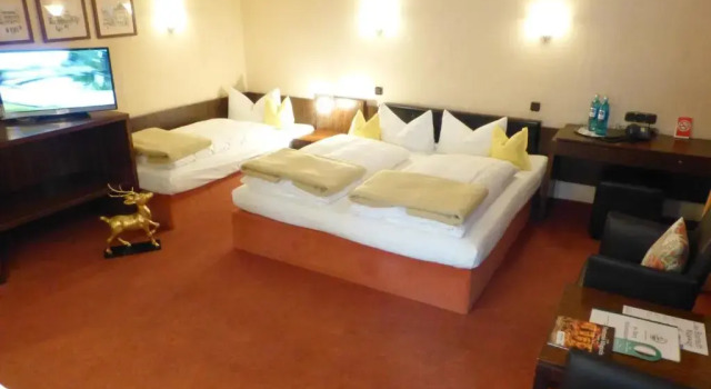 Трёхместный номер Standard Hotel Goldener Hirsch