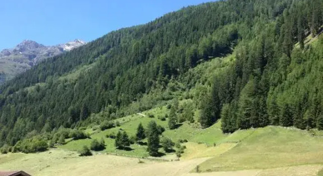 Апартаменты Apart WiesenPlatzl