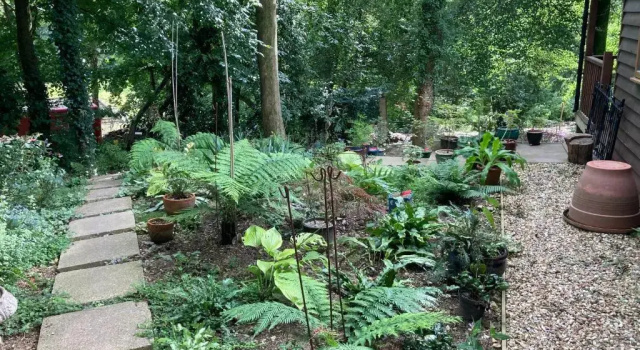 Шале Woodland Views