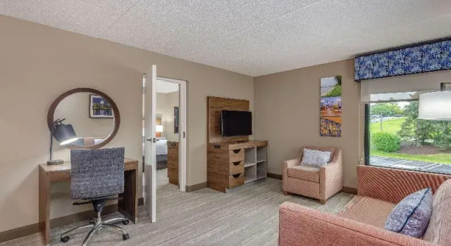 Люкс c 1 комнатой Hampton Inn Harrisburg-East/Hershey