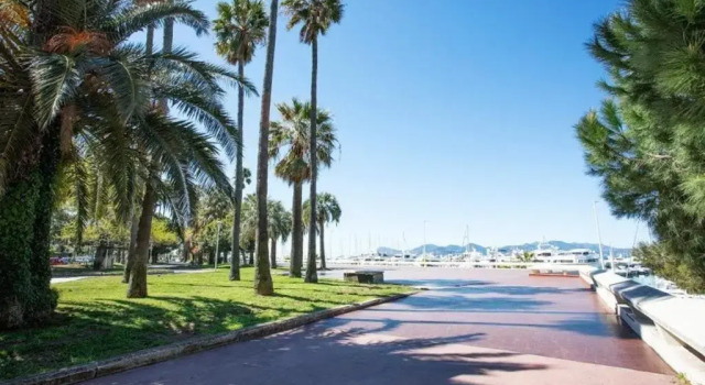 Cozy Studio on Bd Croisette-AC- BeachesCongress by Olidesi