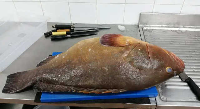 Sapposenteddu Affittacamere del Ristorante da Stefano, Buchen Sie Pension Teulada Sulcis Iglesiente