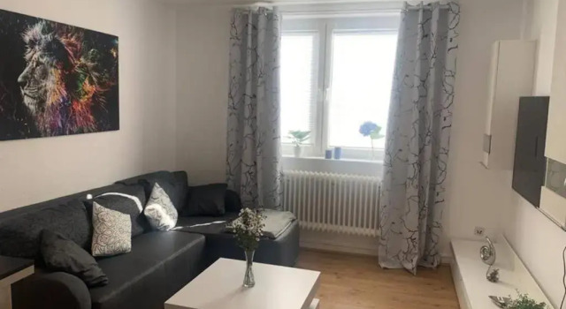 Große moderne Ferienwohnung, zentrale ruhige Lage
