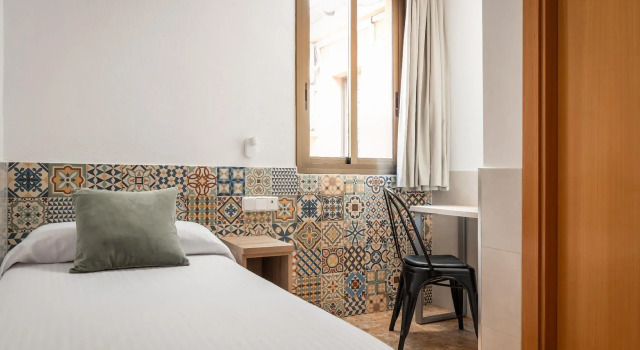 Одноместный номер Standard Hostal Baler