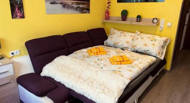 Номер Deluxe Apartment Villa Sonnegg