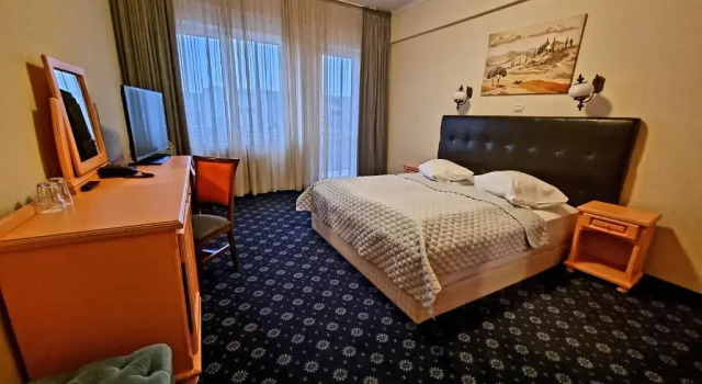 Habitación doble Estándar Hotel Coandi