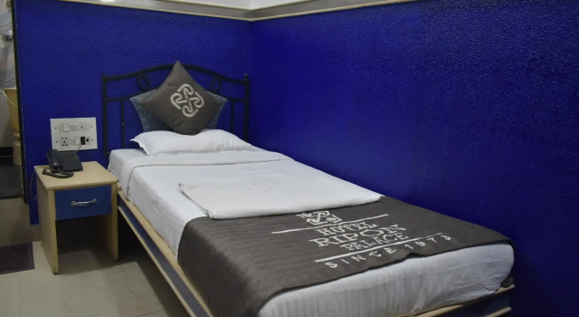 Одноместный номер Deluxe Hotel Ripon Palace