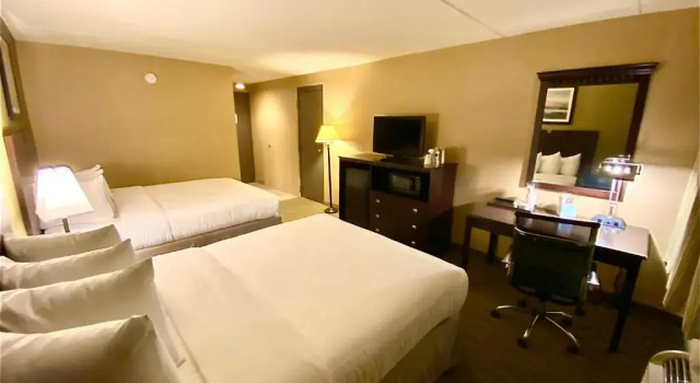 Четырёхместный номер Standard Wyndham Garden Ann Arbor