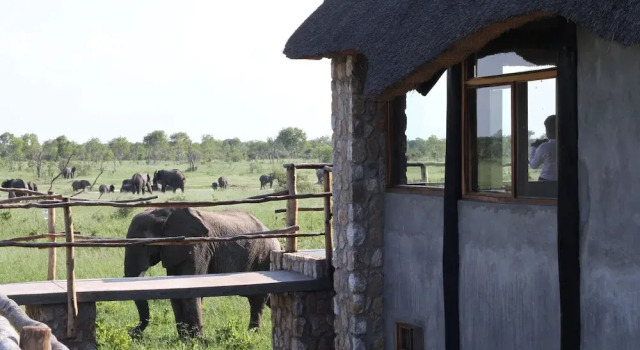 Vila Gwango Elephant Lodge