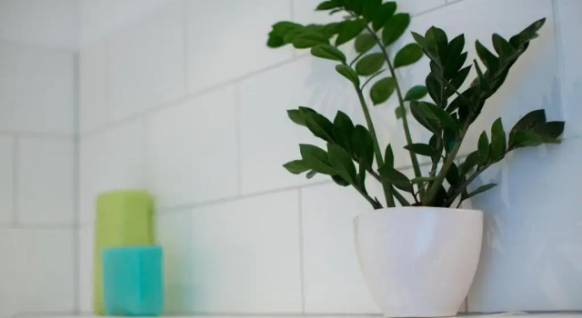 Номер Economy Hotel Schewe