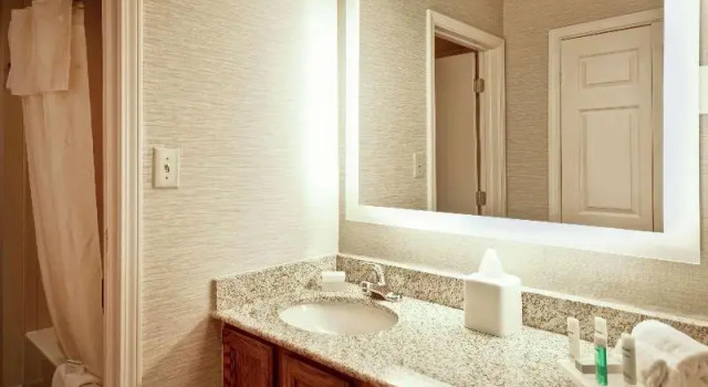 Двухместный люкс Premium Homewood Suites by Hilton Atlanta-Galleria/Cumberland